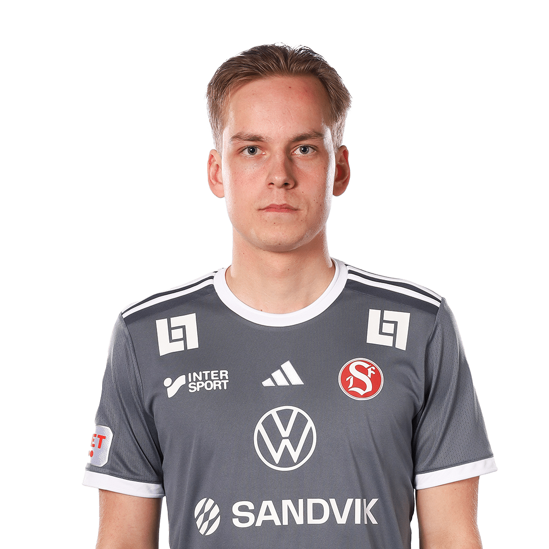 Hannes Sveijer